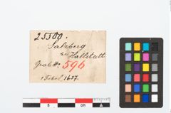 Etikett zu Bronzebrillenfibel (NHMW-PRAE-025500)